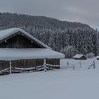 Schneemassen und eisige Kälte