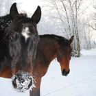 Schneemaul ;-)