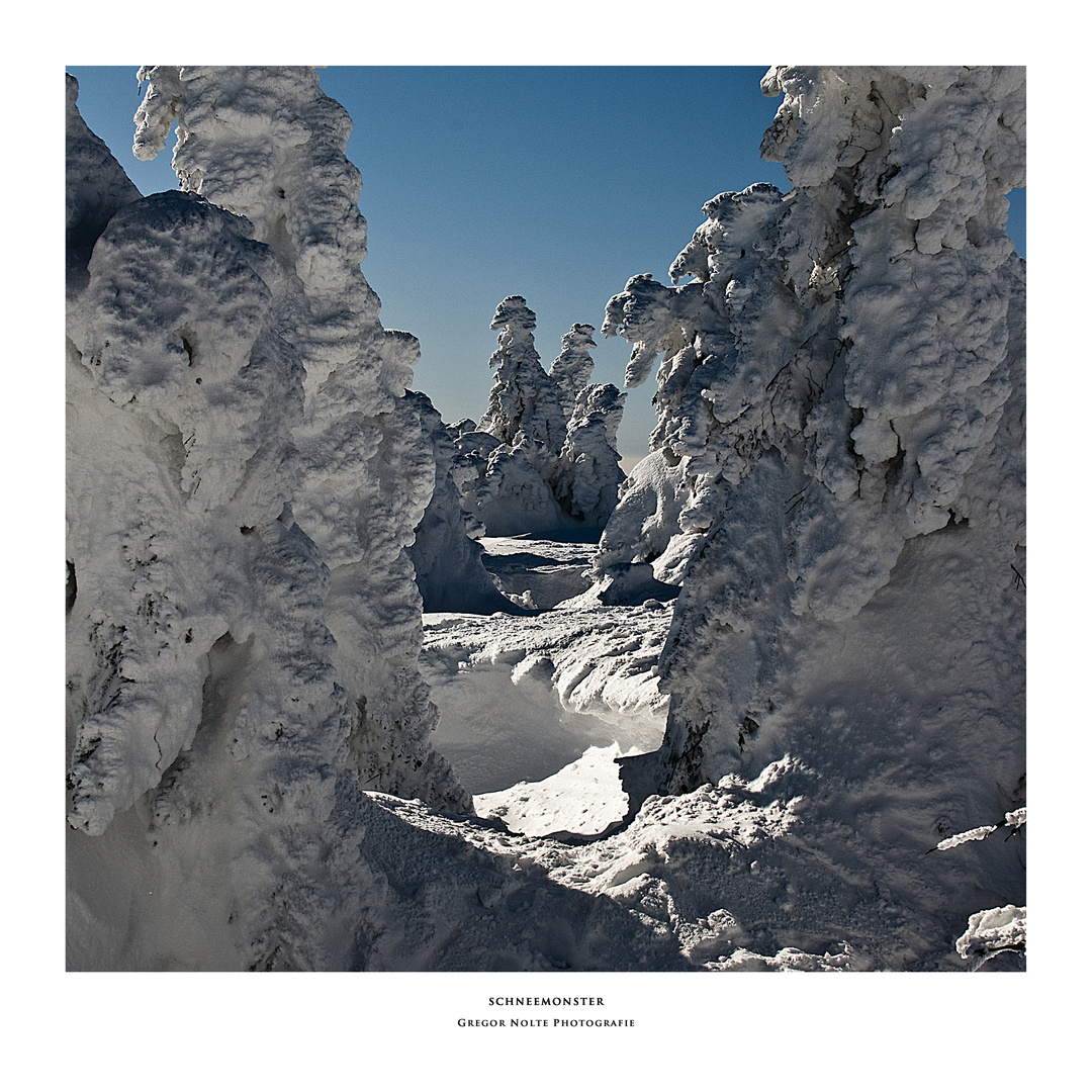 Schneemonster auf dem Brocken