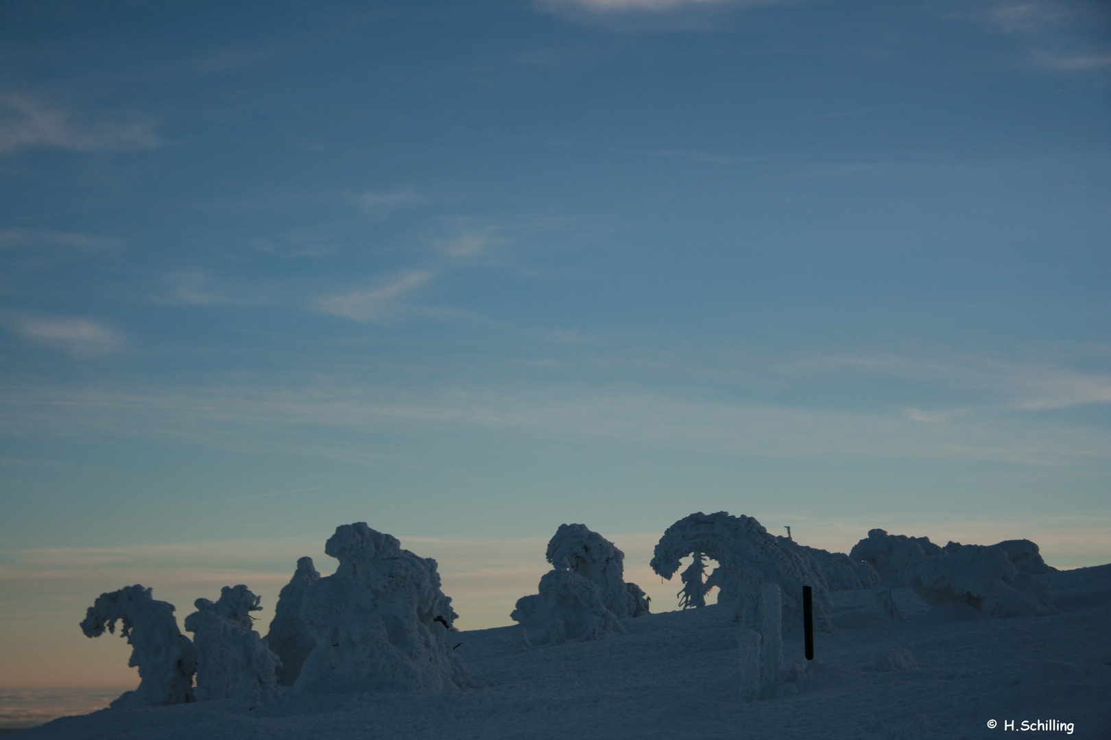 Schneemonster