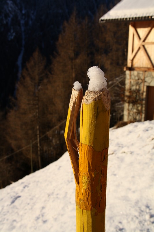 Schneemützchen