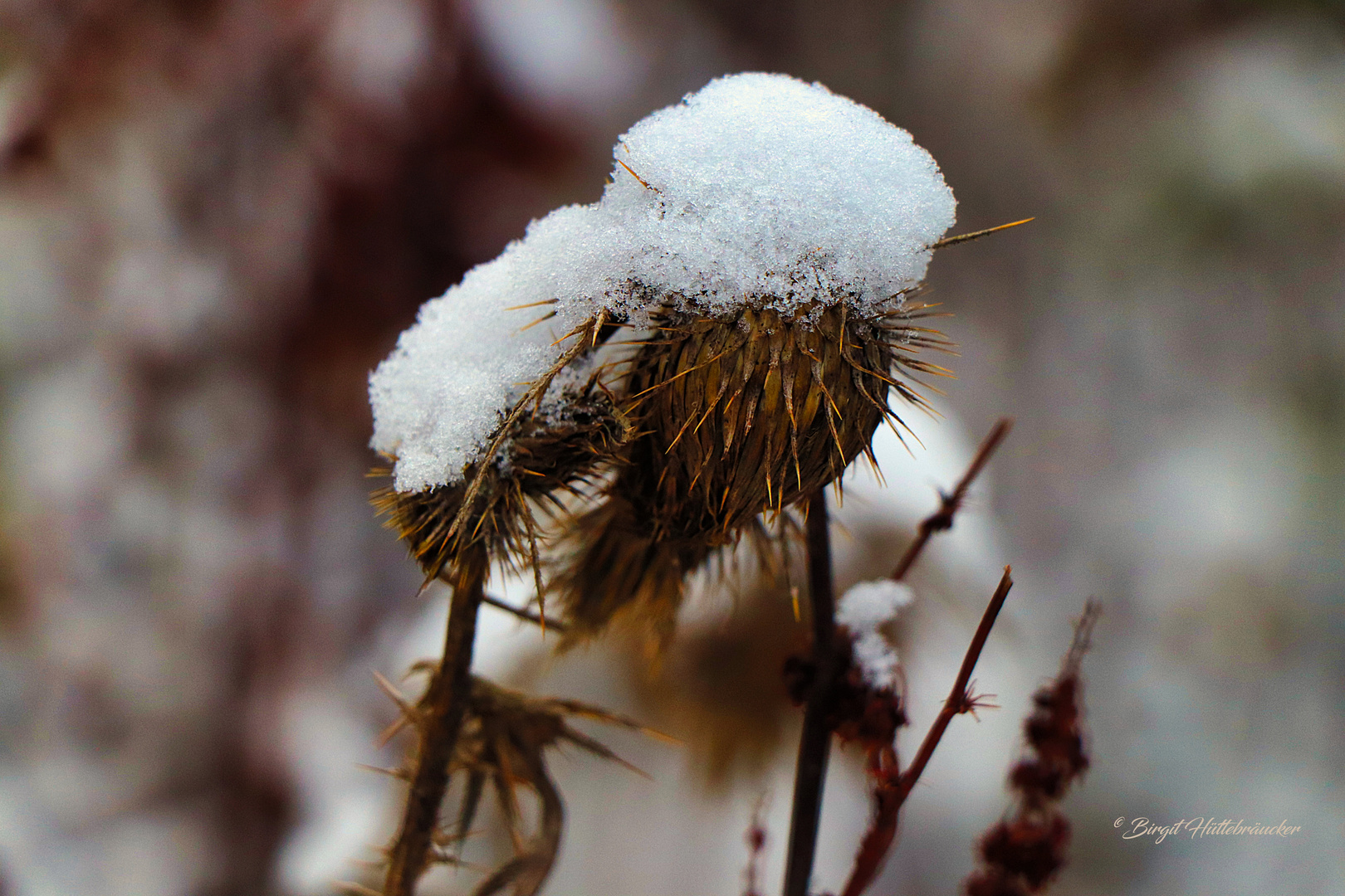 Schneemütze