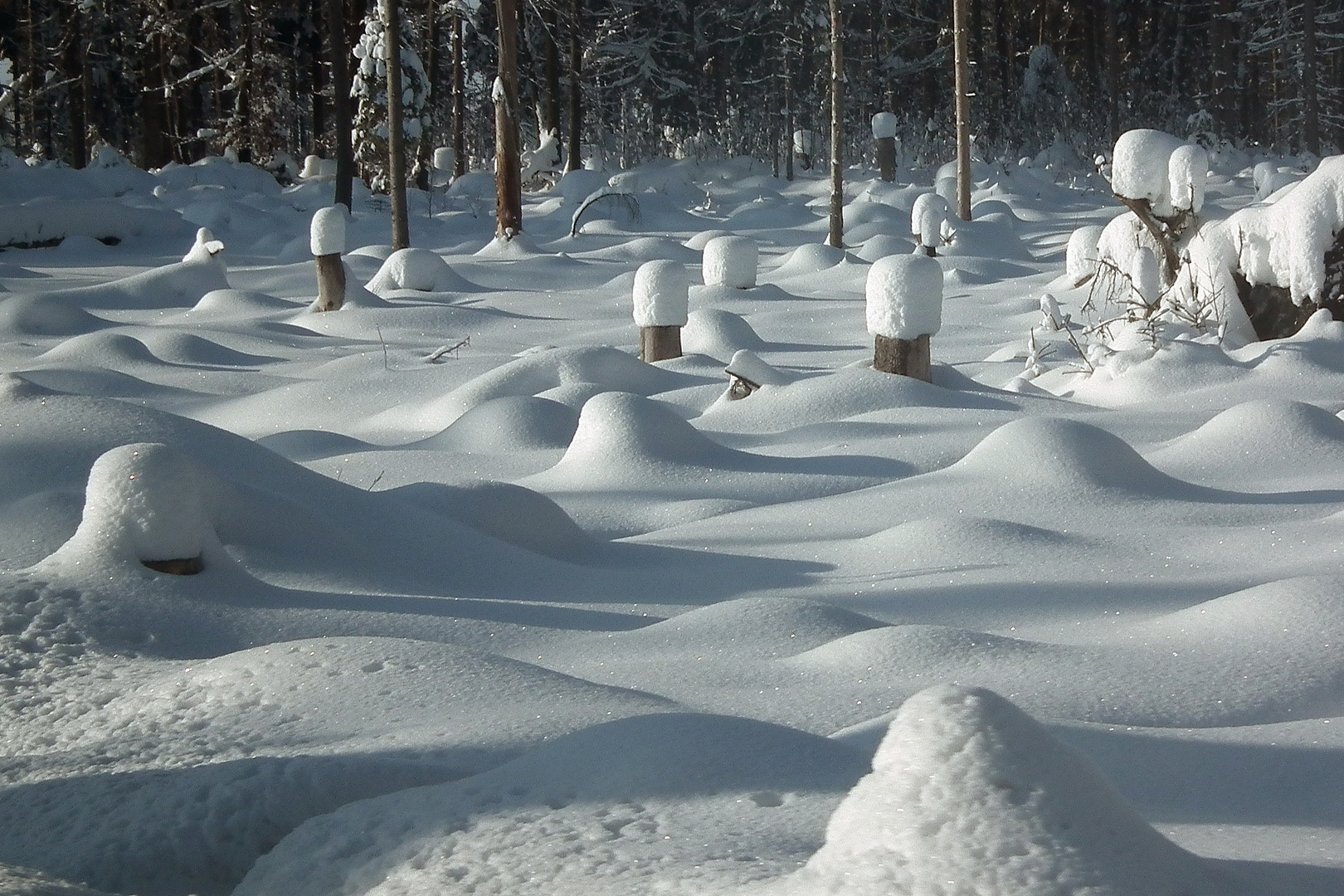 Schneemützen