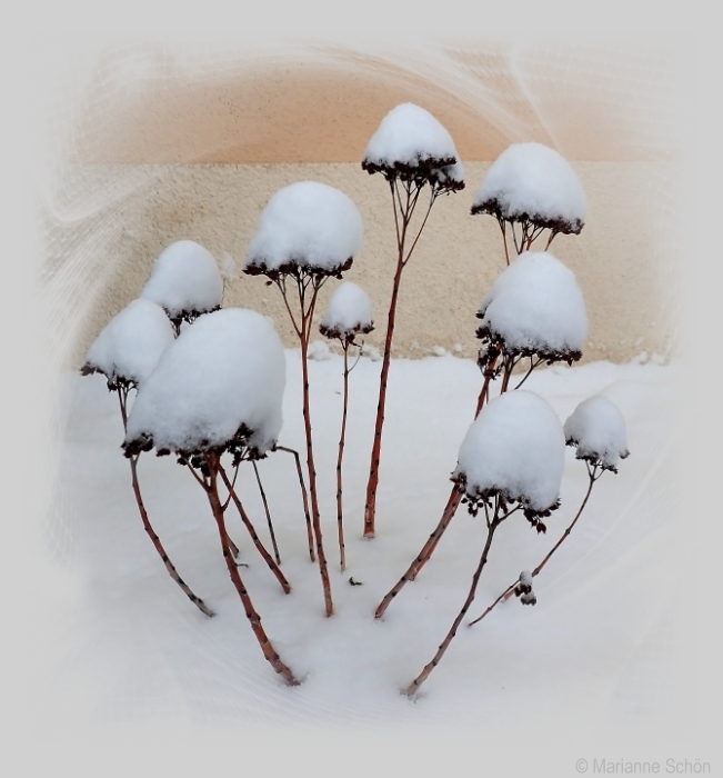 Schneemützen...