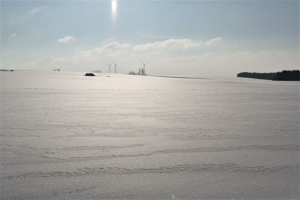 Schneemuster mit Perlen bestückt