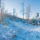 Schneepanorama mit Hochsitz