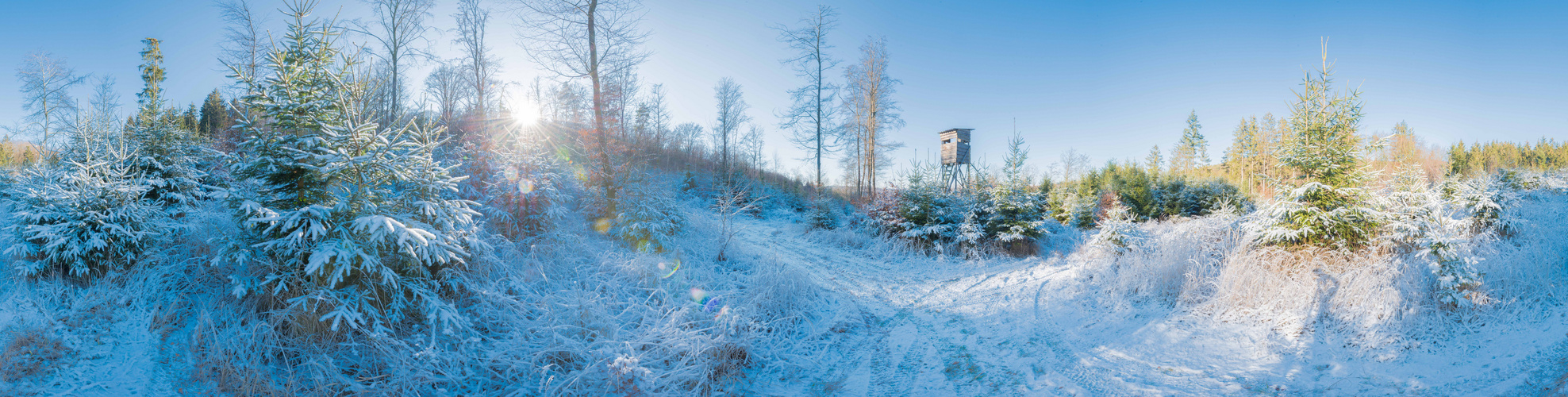 Schneepanorama mit Hochsitz