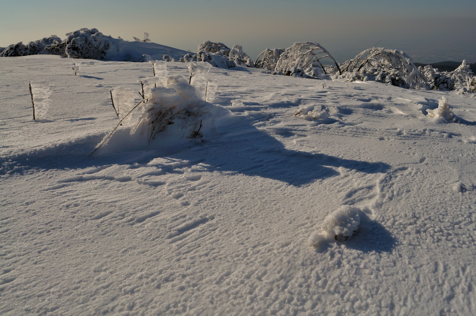 Schneepanzer