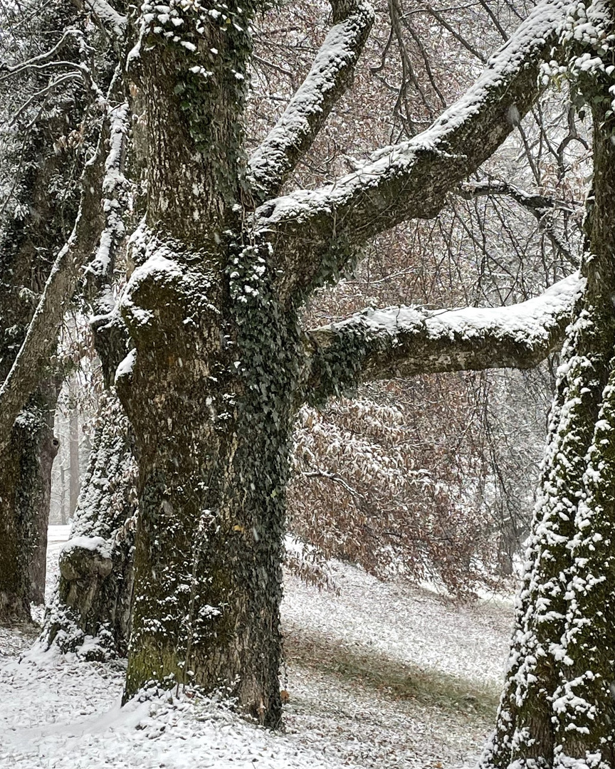 Schneepark