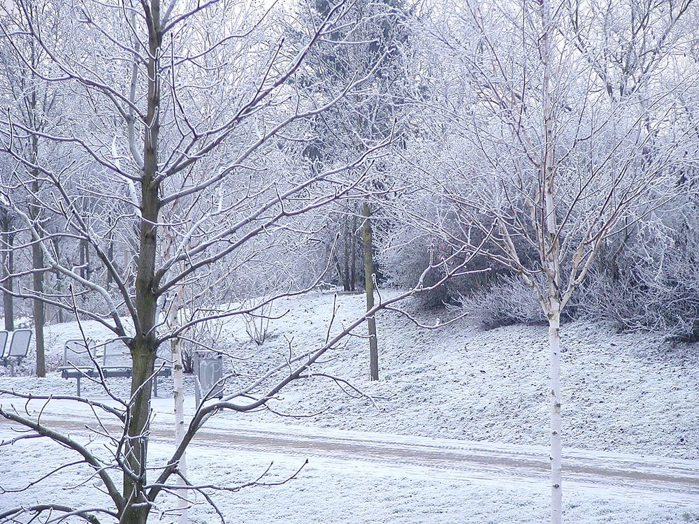 Schneepark Aschaffenburg