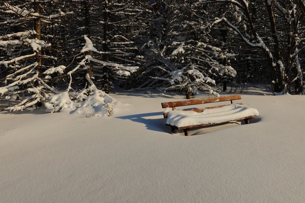 Schneepause gefällig ...