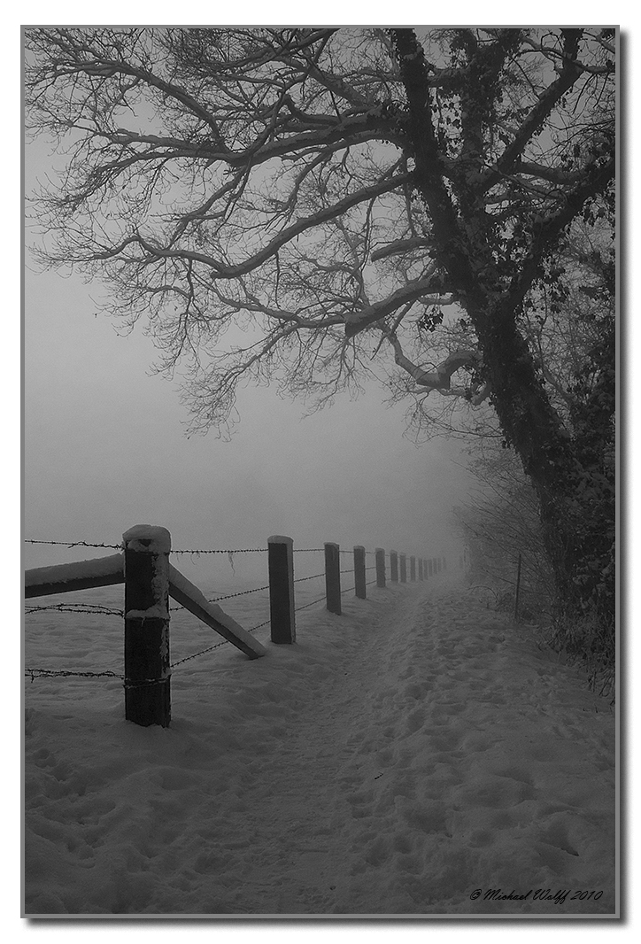 Schneepfad im Nebel