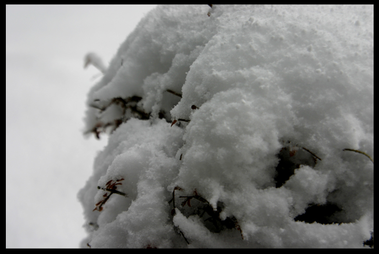 Schneepflanzenzeug