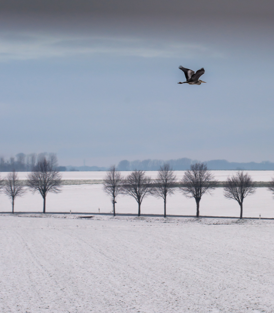 Schnee(p)flug