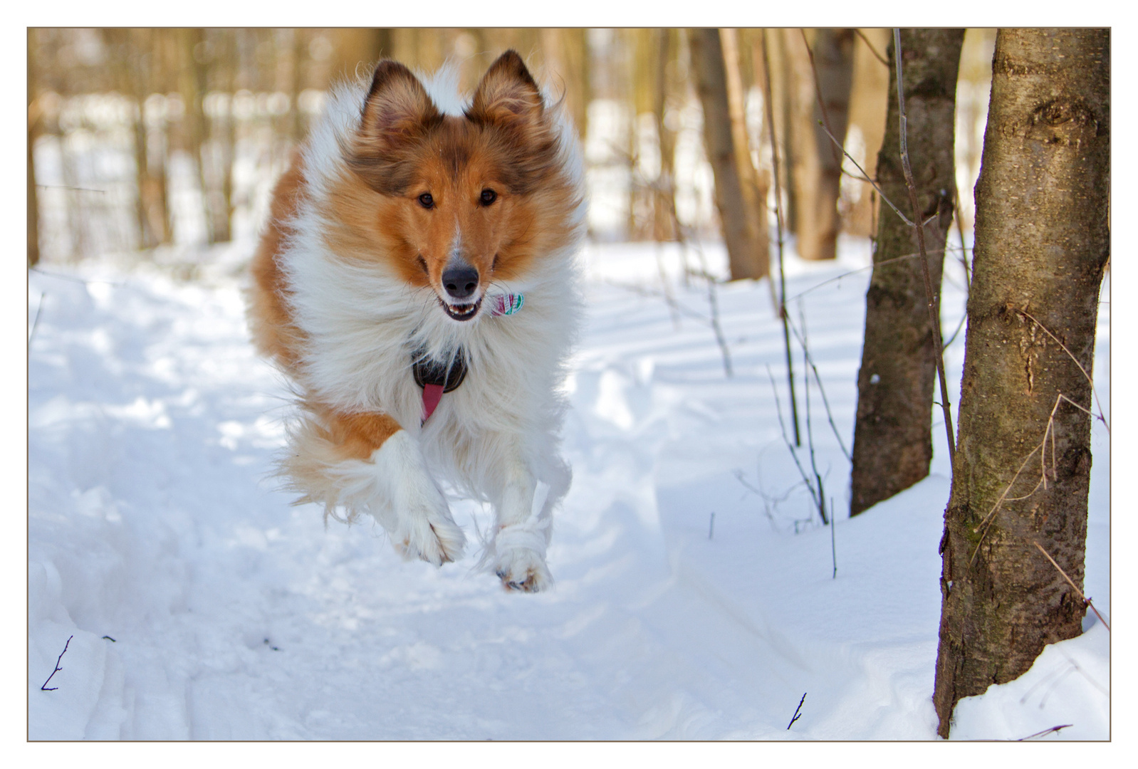 Schnee(p)flug