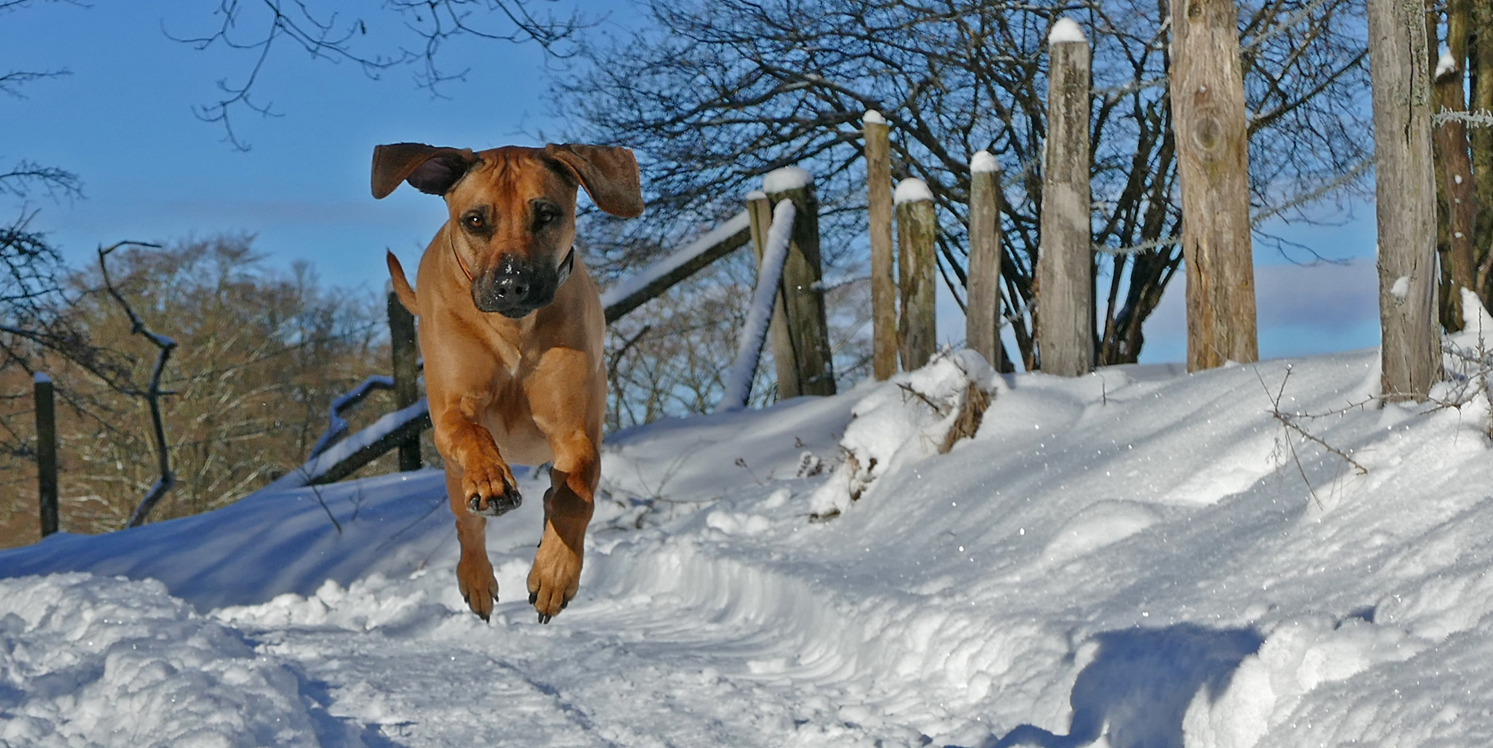 Schnee(p)flug