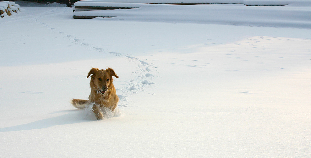 Schneepflug I