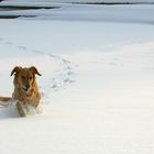 Schneepflug I