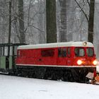 Schneepflug im Großen Garten