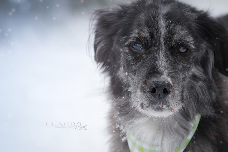 Schneeportrait