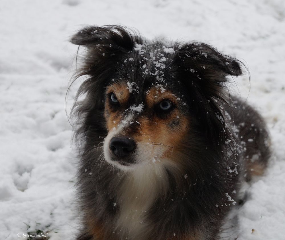 Schneeportrait