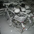 Schneeräder Dezember 2010