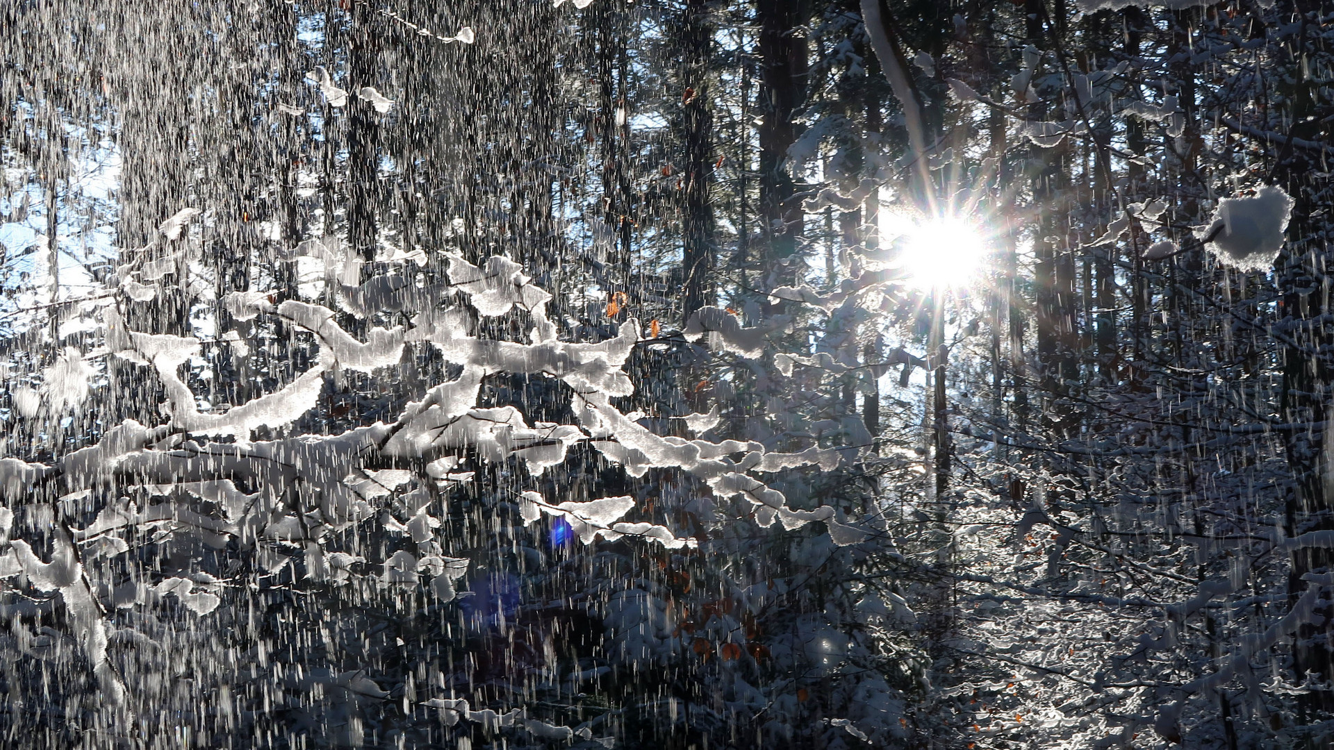 "Schneeregen"