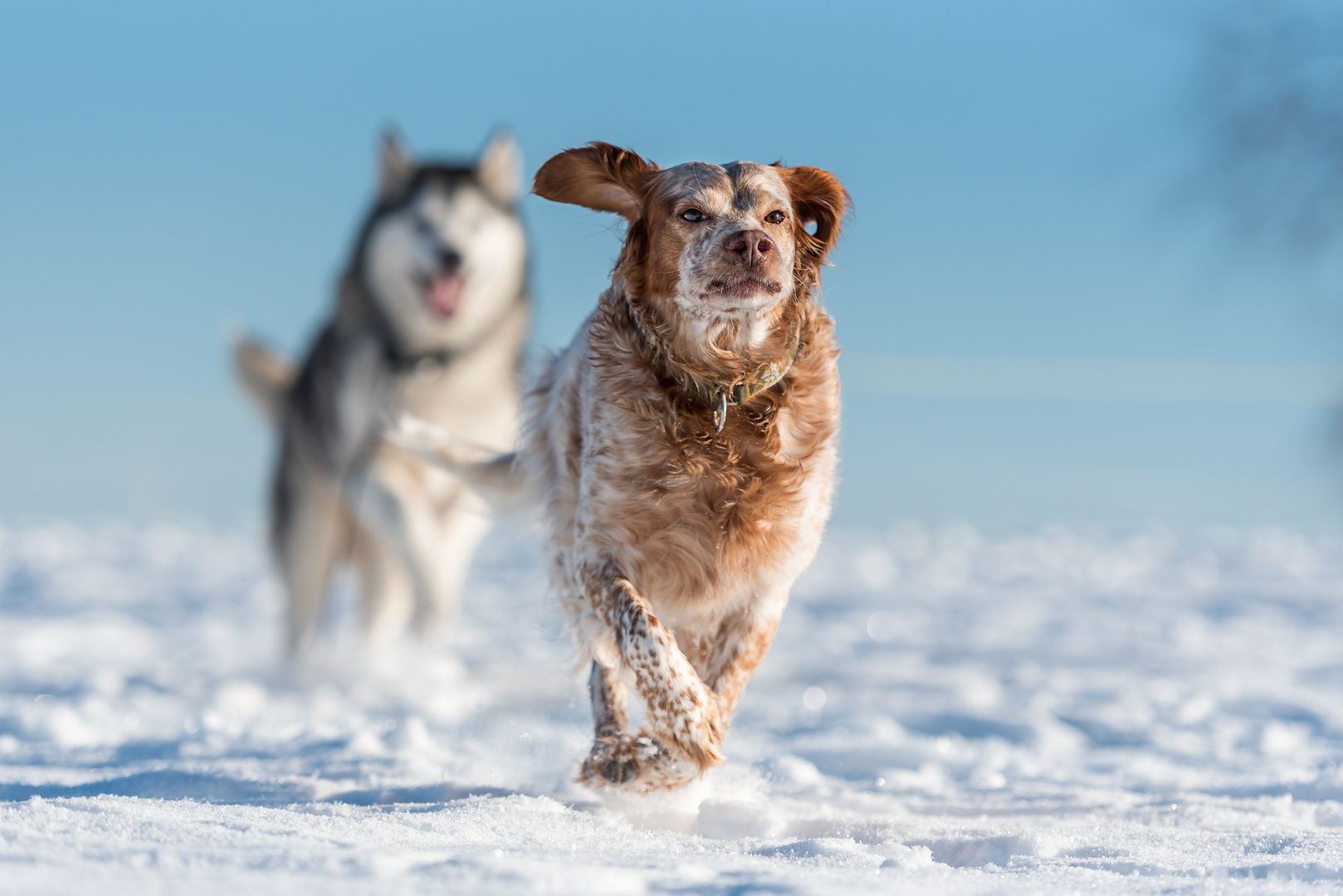 Schneerennen