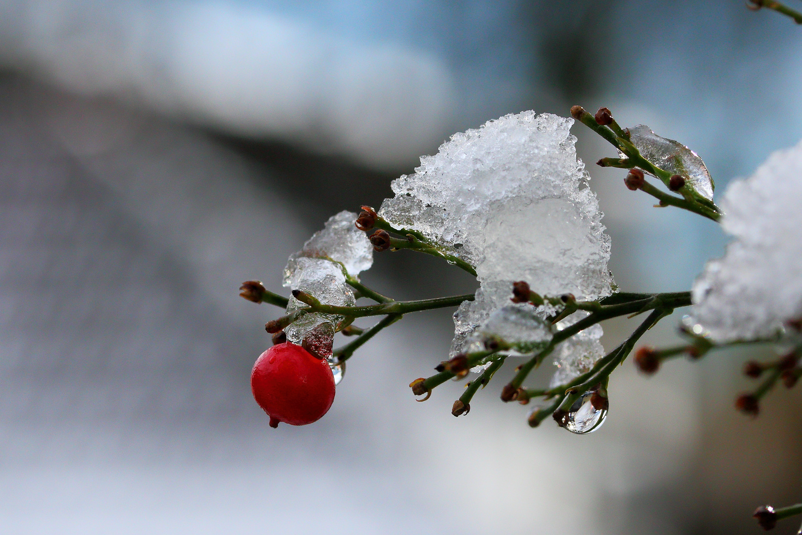 Schneerest....