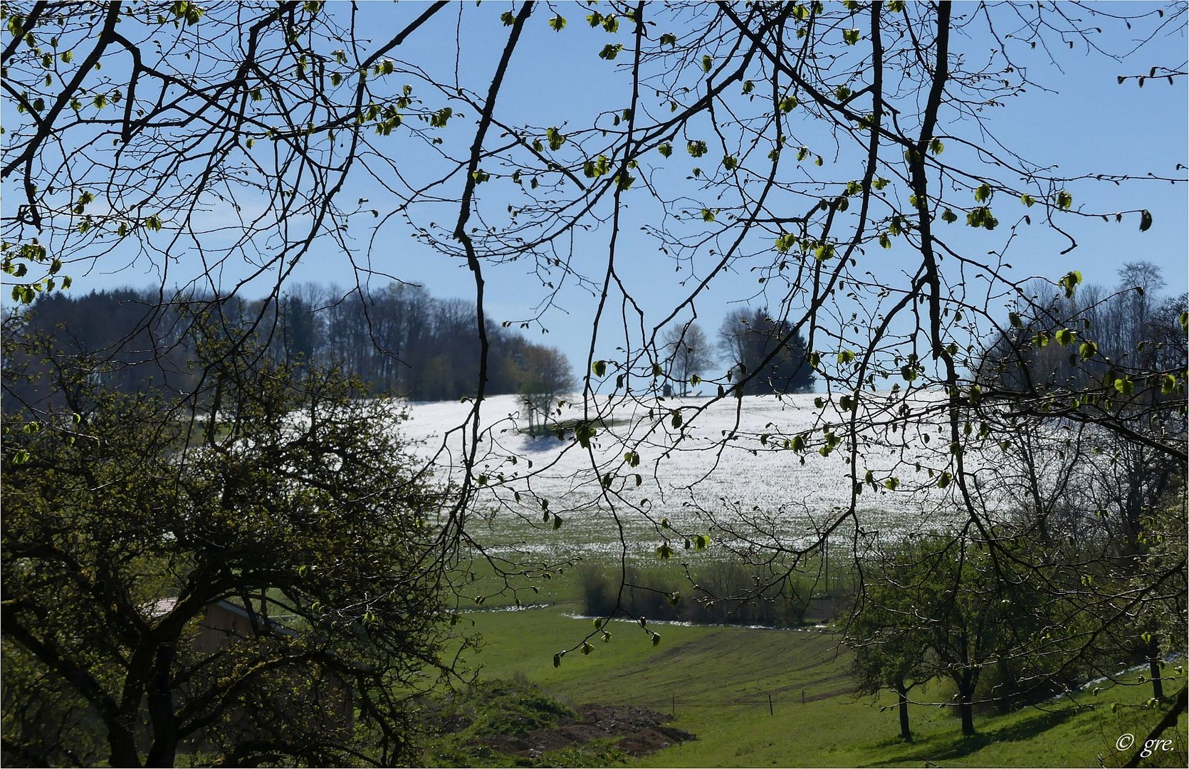 Schneereste auf der Schwäbischen Alb