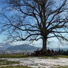 Schneereste über Salzburg (Maria Plain)