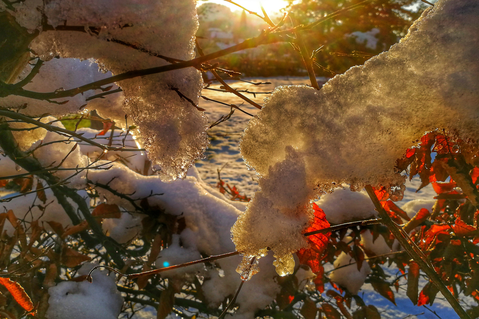 Schneereste und Sonnenfeuer