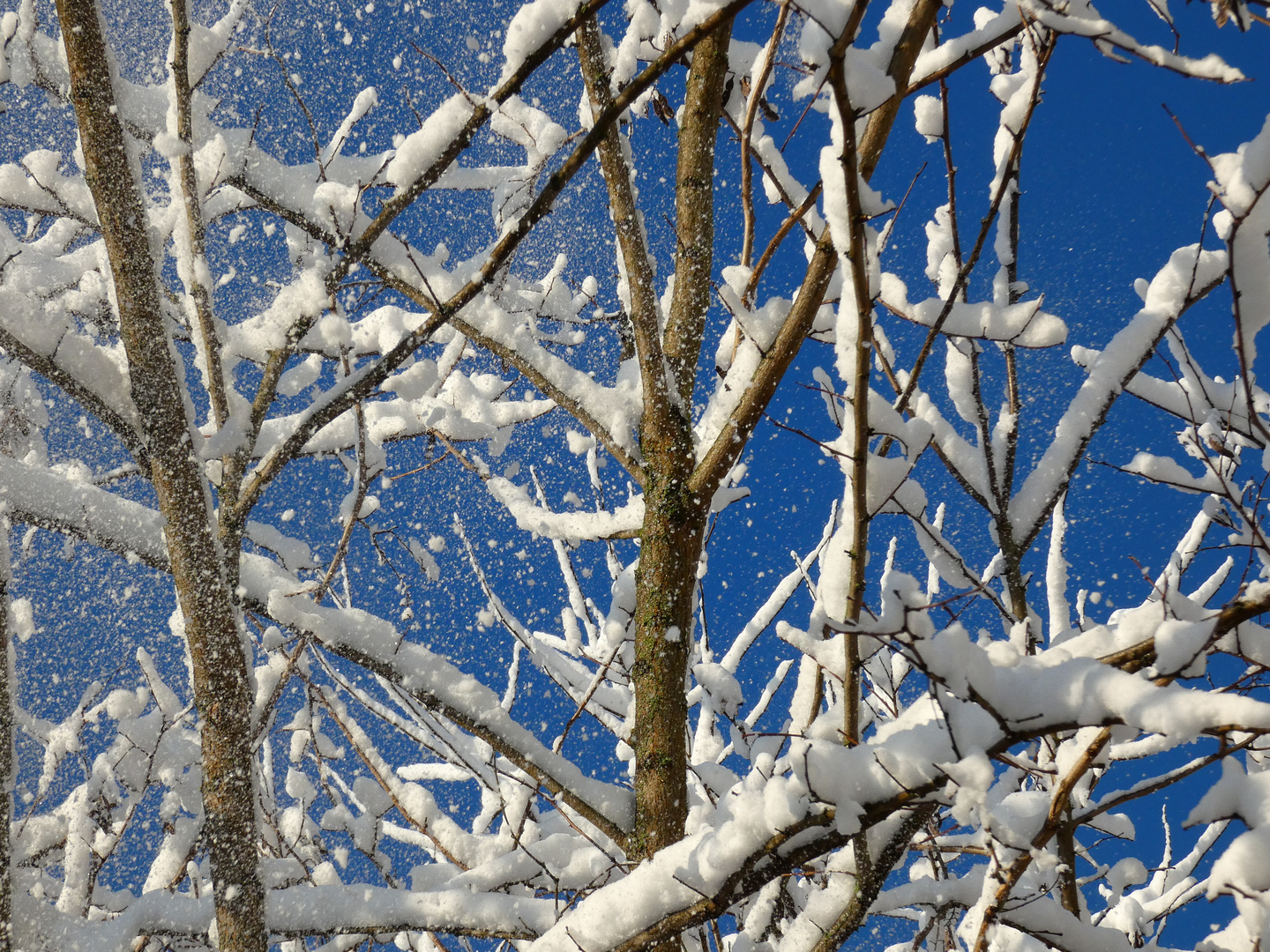 Schneerieseln