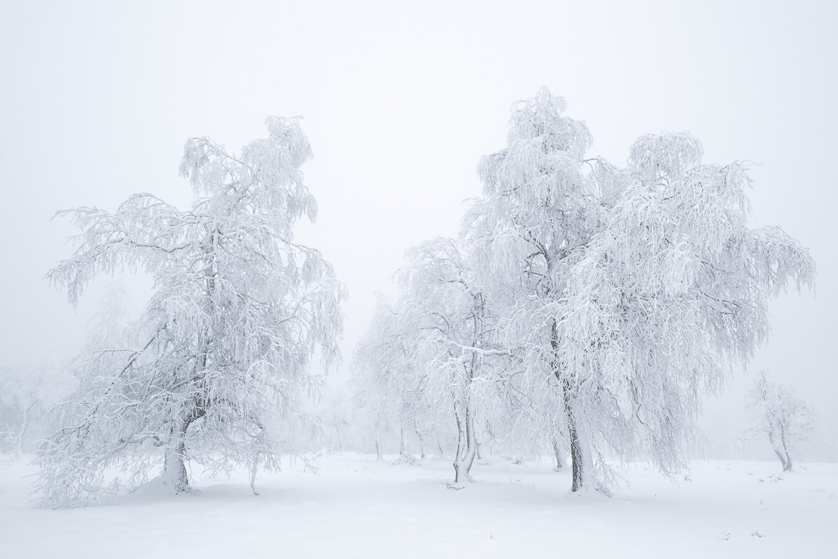 Schneeriesen