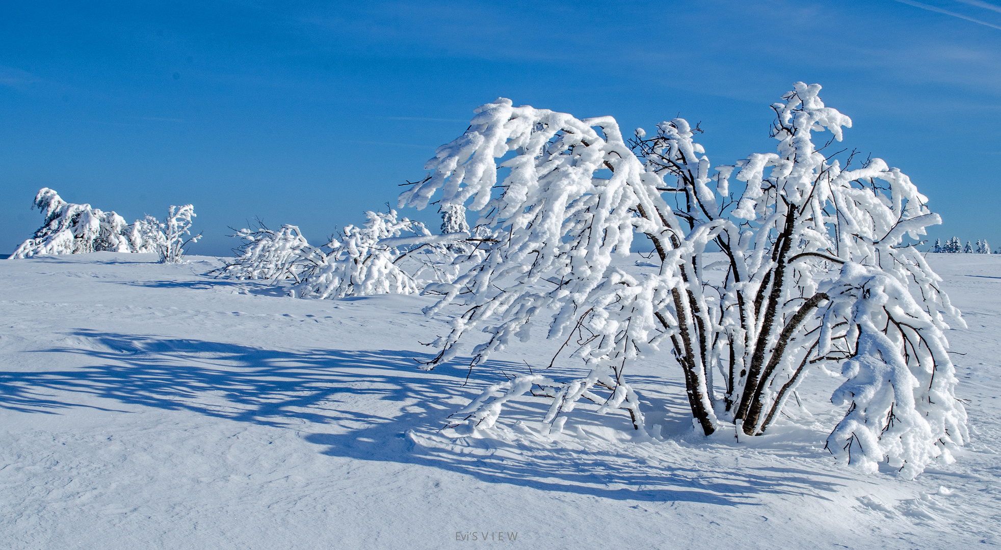 Schneeschatten