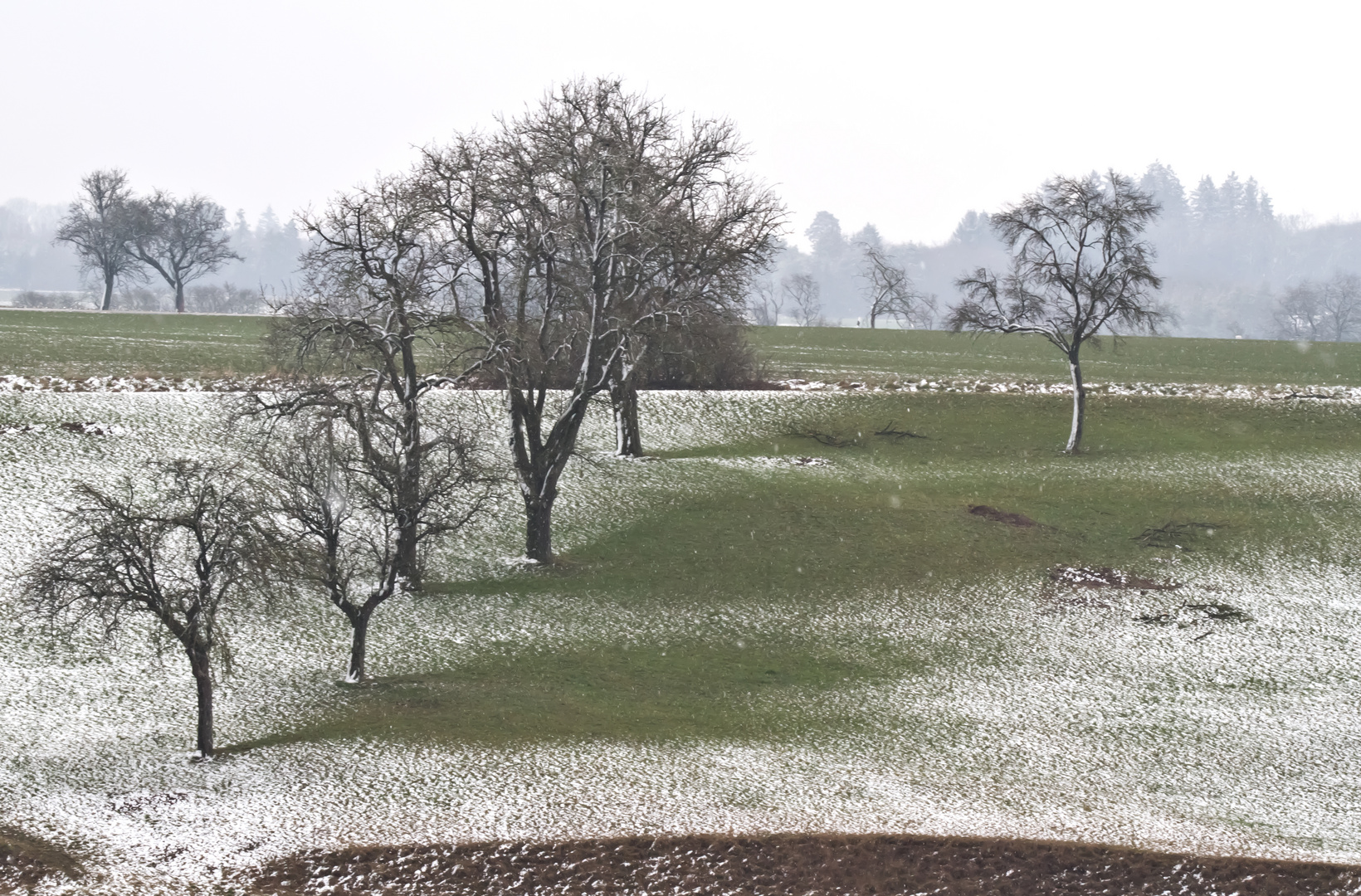 Schneeschatten im März