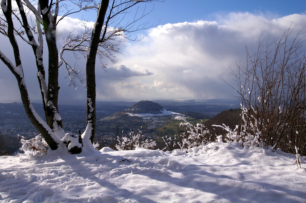 Schneeschauer