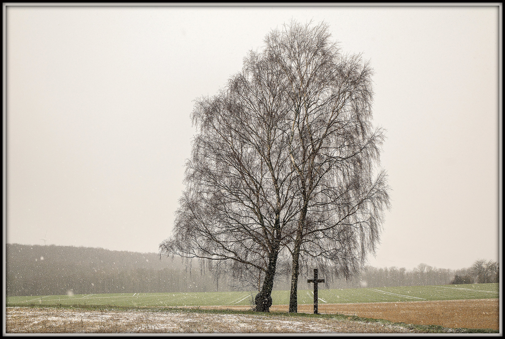 Schneeschauer.........