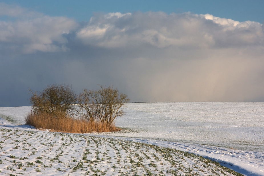 Schneeschauer