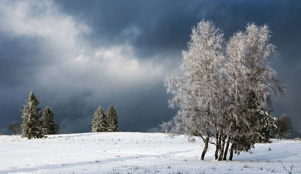 schneeschauer