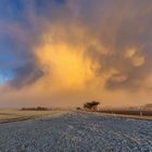 Schneeschauer im Abendlicht