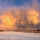 Schneeschauer im Abendlicht