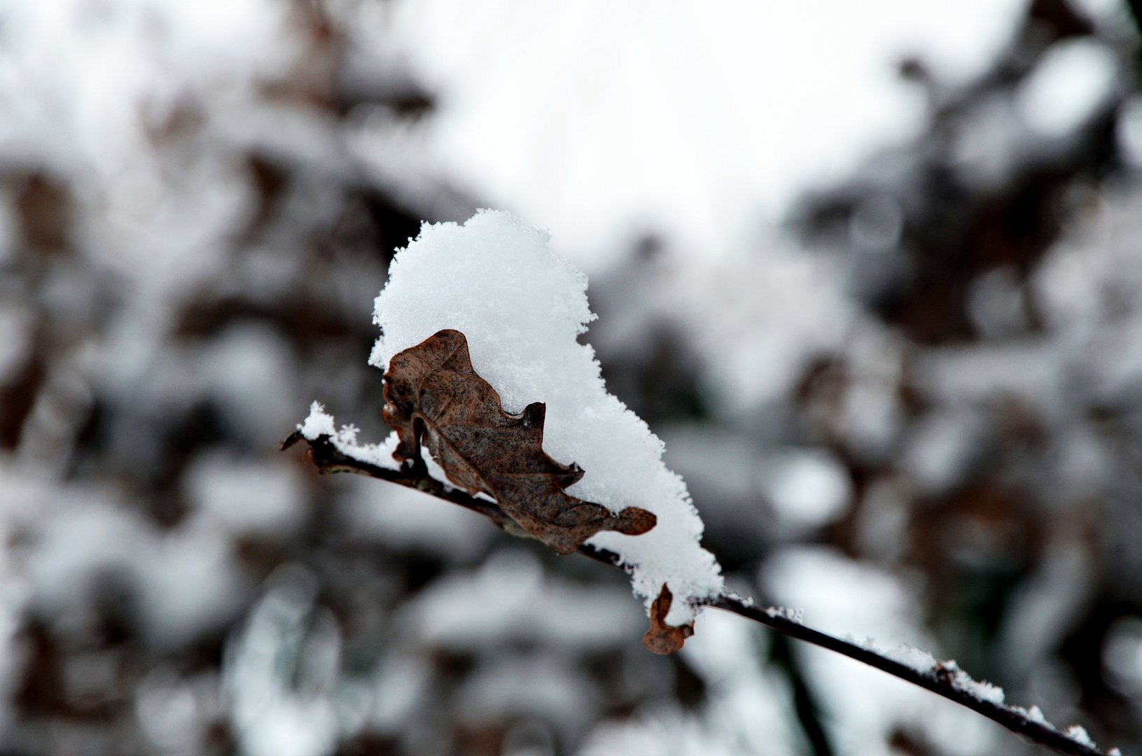 Schneeschaufel