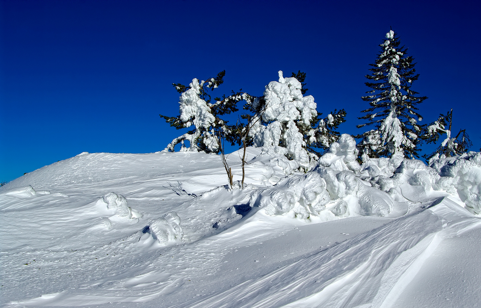 Schneeschaum