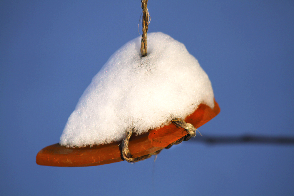 Schneescherbe von cardonal 