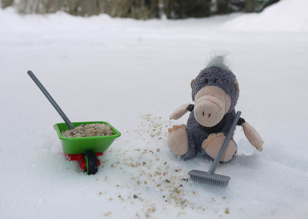 Schneeschippen Foto & Bild quatsch, fun und rätselecke, günther