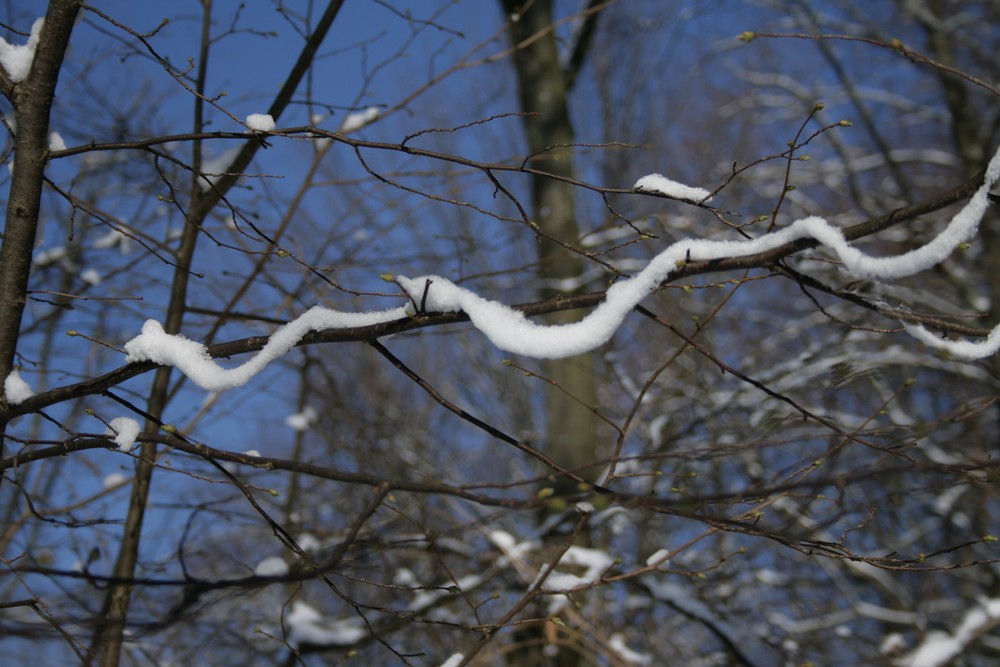 Schneeschlange