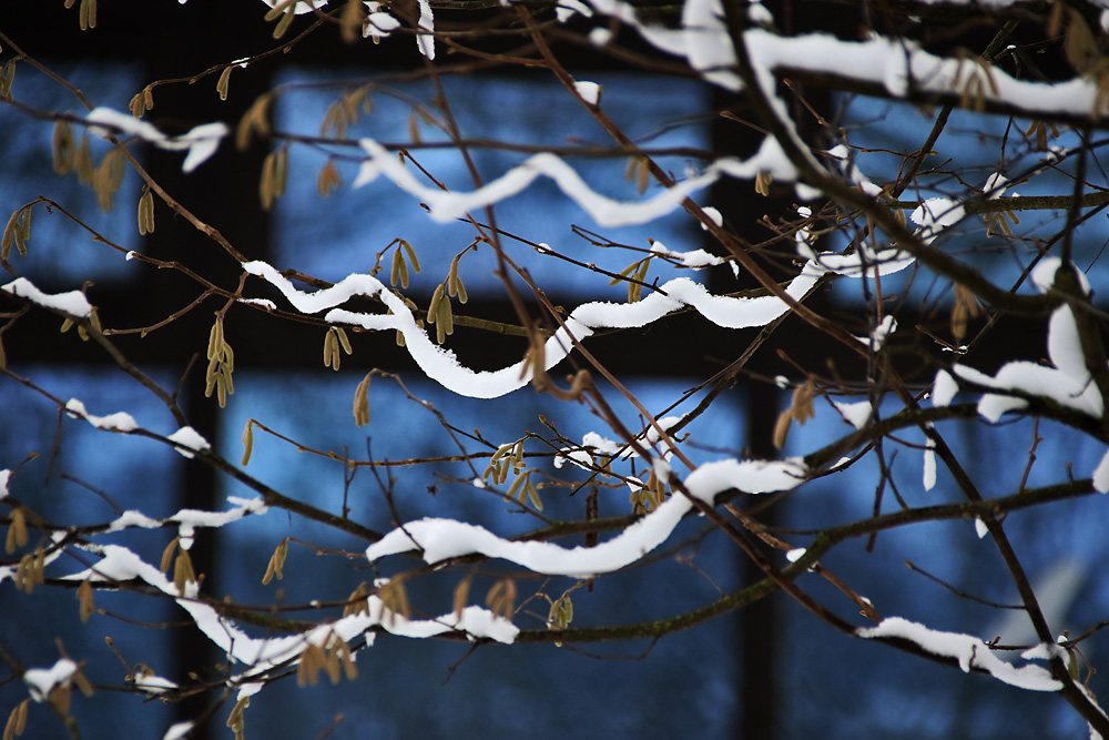 "Schneeschlangen"