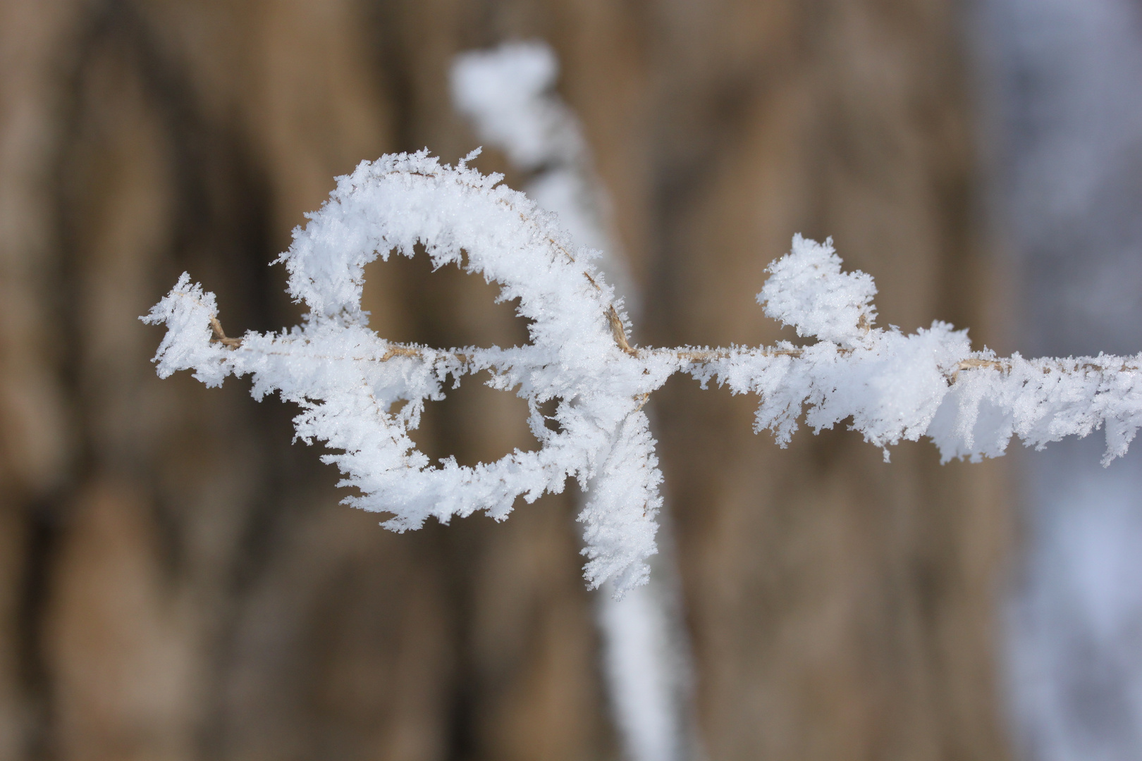 Schneeschlüssel