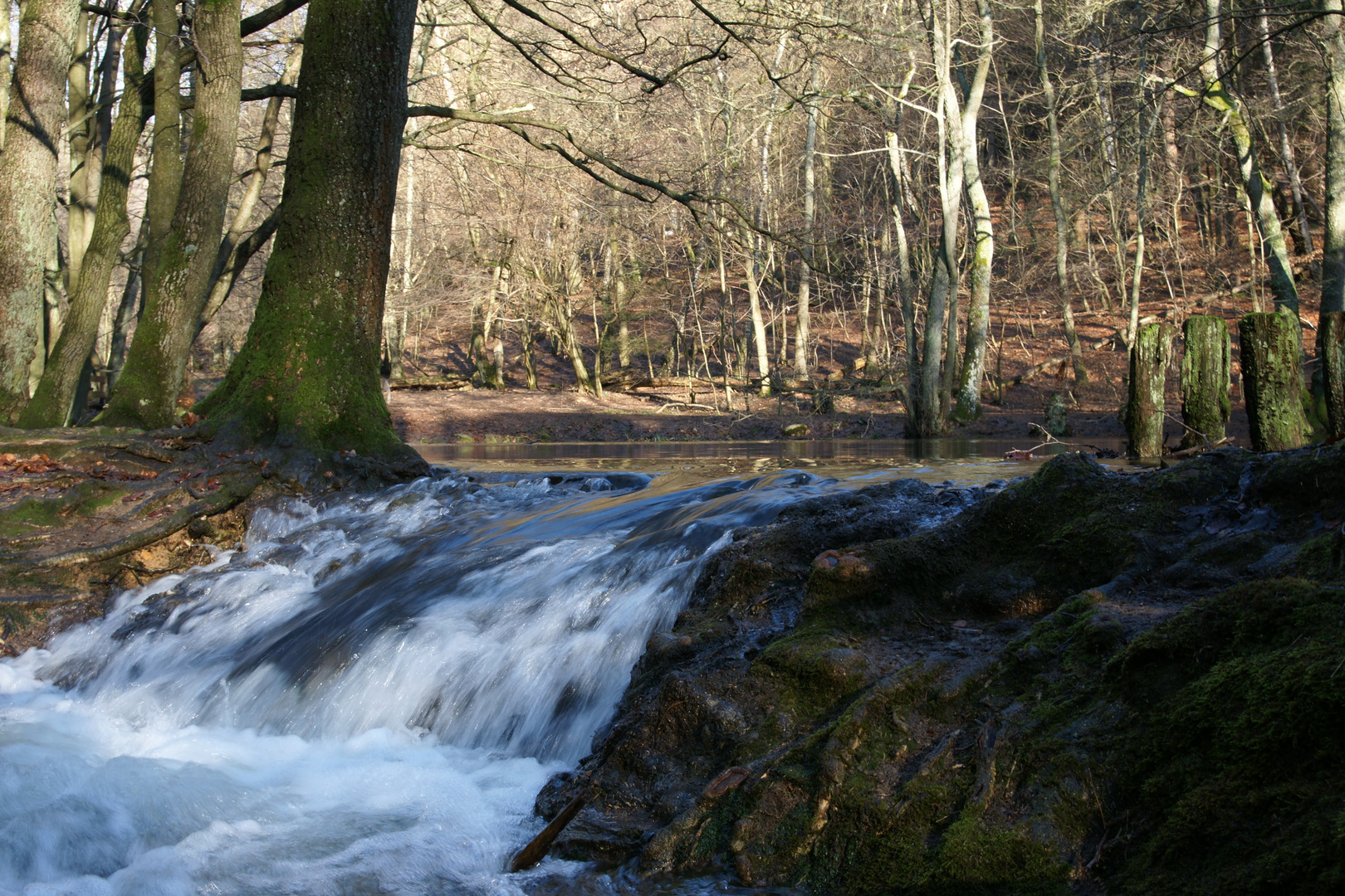 Schneeschmelze 3